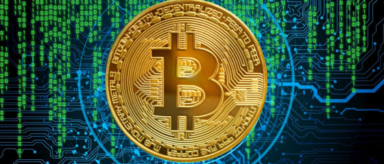 የ Bitcoin የቀጥታ ካሲኖዎች ምንድን ናቸው?